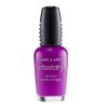 Fuchsia Rama Nr. 232