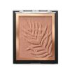 Palm Beach Ready Nr. 739A